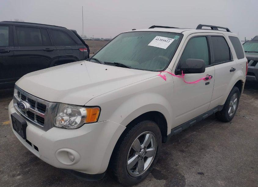 Photo 2 of 2011 Ford Escape XLT (VIN 1FMCU9DG6BKC37916)