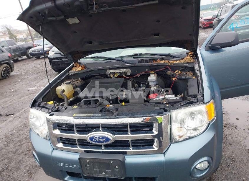 Photo 10 of 2010 Ford Escape XLT (VIN 1FMCU9DG7AKA92531)