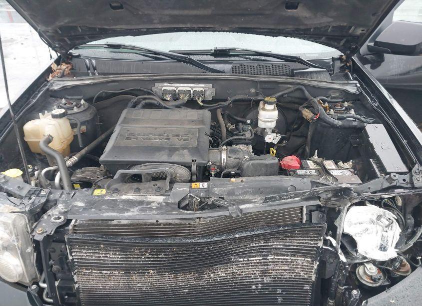 Photo 10 of 2011 Ford Escape XLT (VIN 1FMCU9DG7BKA33402)