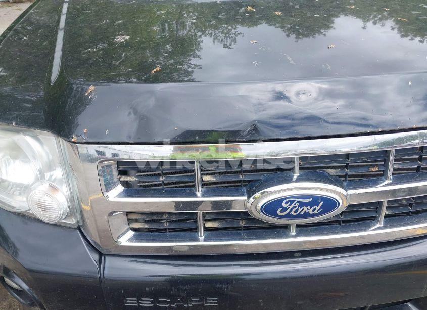 Photo 6 of 2011 Ford Escape XLT AUTOMATIC (VIN 1FMCU9DG7BKA58431)