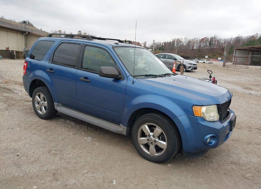 2010 Ford Escape XLT (VIN 1FMCU9DG8AKC58913) main photo