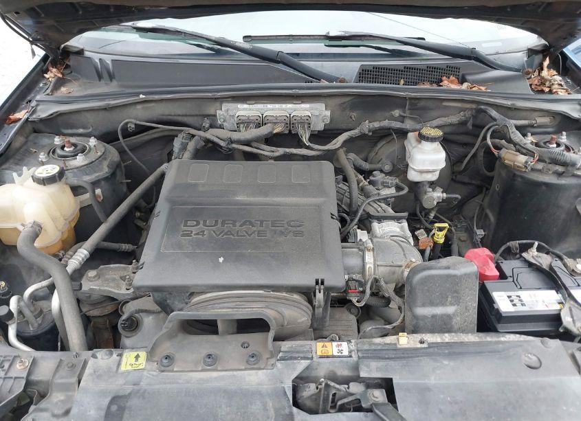 Photo 10 of 2010 Ford Escape XLT (VIN 1FMCU9DG8AKC58913)