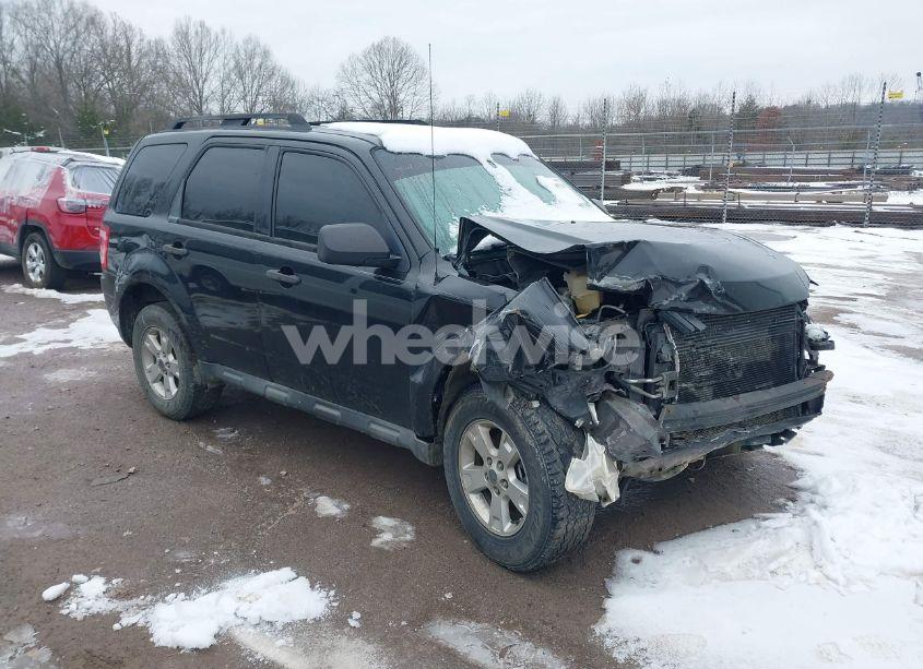 2011 Ford Escape XLT (VIN 1FMCU9DG8BKA61113) main photo