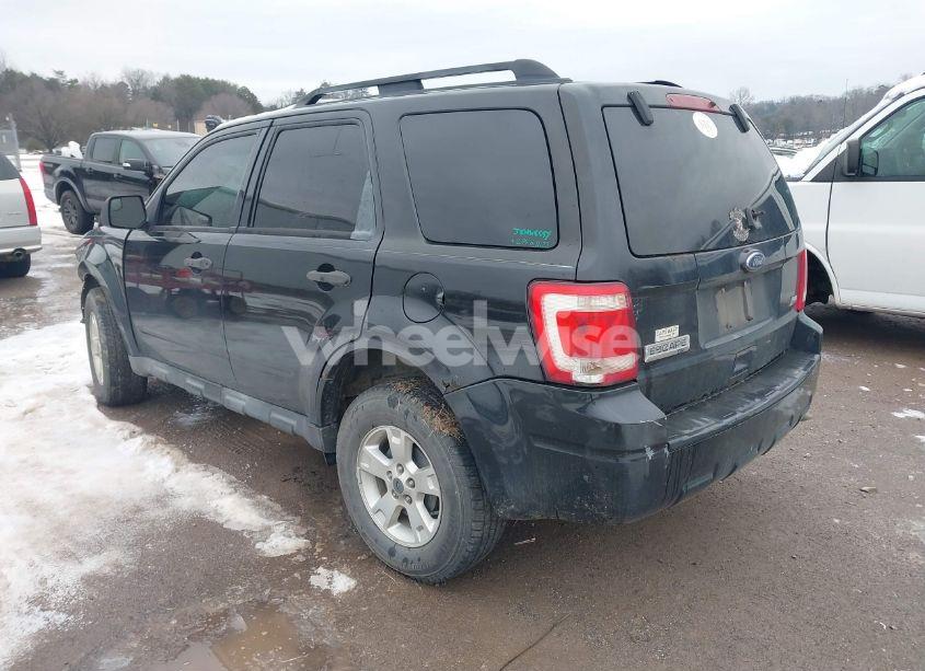 Photo 3 of 2011 Ford Escape XLT (VIN 1FMCU9DG8BKA61113)