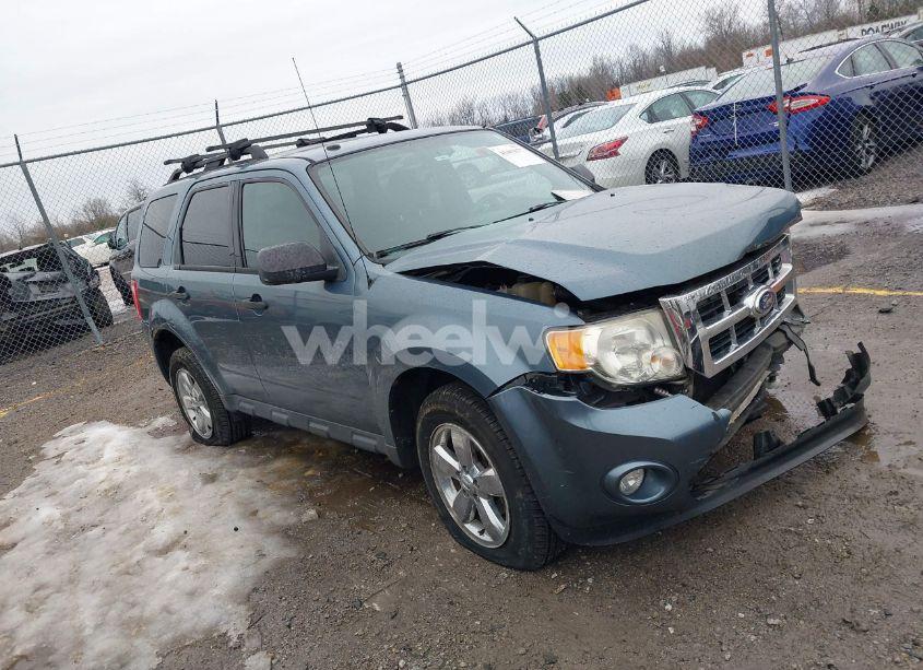 2010 Ford Escape XLT (VIN 1FMCU9DG9AKB43141) main photo