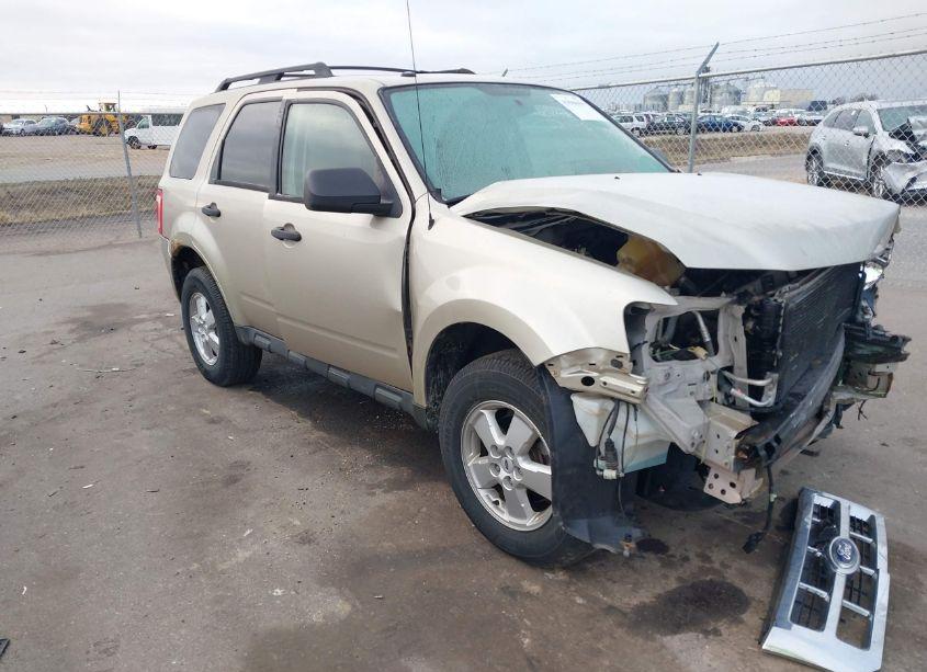 2011 Ford Escape XLT (VIN 1FMCU9DG9BKA22031) main photo