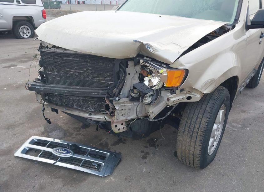 Photo 6 of 2011 Ford Escape XLT (VIN 1FMCU9DG9BKA22031)