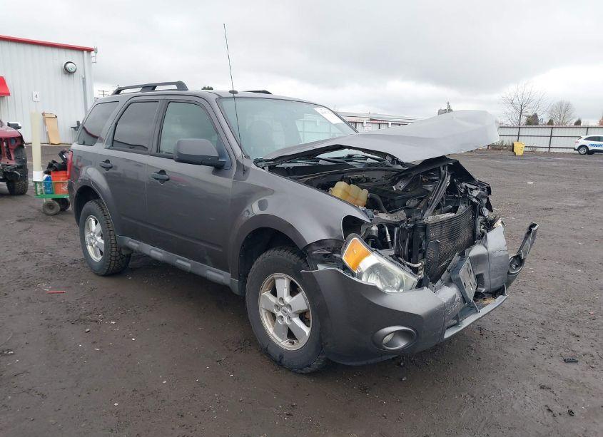 2010 Ford Escape XLT (VIN 1FMCU9DGXAKA09903) main photo