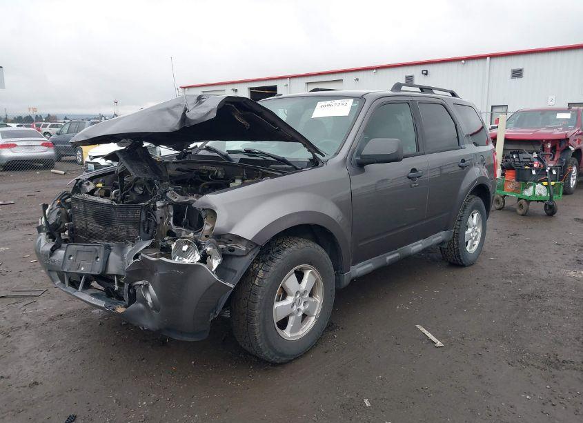 Photo 2 of 2010 Ford Escape XLT (VIN 1FMCU9DGXAKA09903)