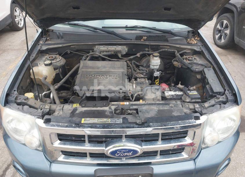 Photo 10 of 2010 Ford Escape XLT (VIN 1FMCU9DGXAKA92894)