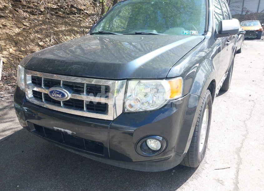 Photo 15 of 2010 Ford Escape XLT (VIN 1FMCU9DGXAKD25432)