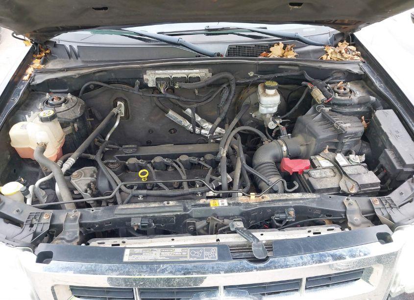 Photo 10 of 2011 Ford Escape LIMITED (VIN 1FMCU9E70BKB02672)