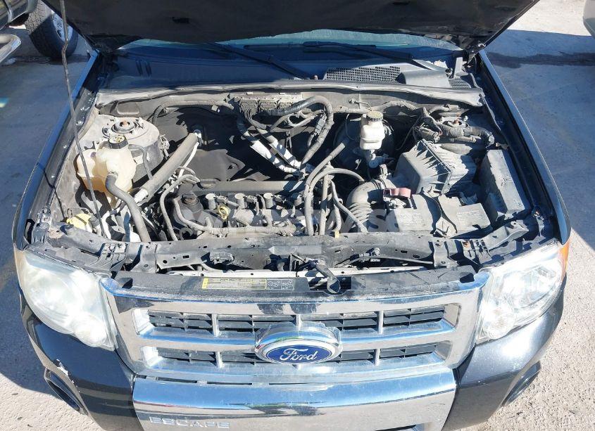 Photo 10 of 2010 Ford Escape LIMITED (VIN 1FMCU9E71AKB56741)