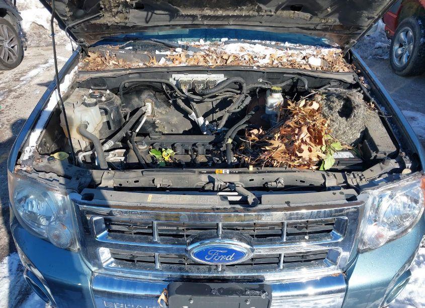 Photo 10 of 2011 Ford Escape LIMITED (VIN 1FMCU9E76BKC31273)