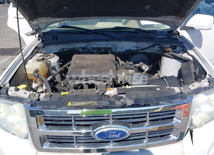 Photo 10 of 2010 Ford Escape LIMITED (VIN 1FMCU9EG0AKB64877)