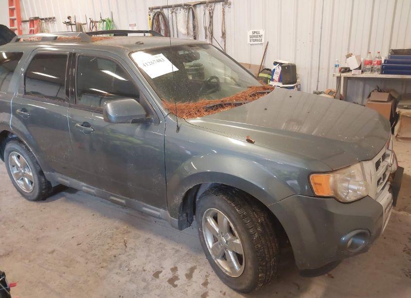 2010 Ford Escape LIMITED (VIN 1FMCU9EG0AKB93733) main photo