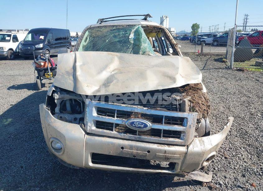 Photo 13 of 2010 Ford Escape LIMITED (VIN 1FMCU9EG3AKB01286)