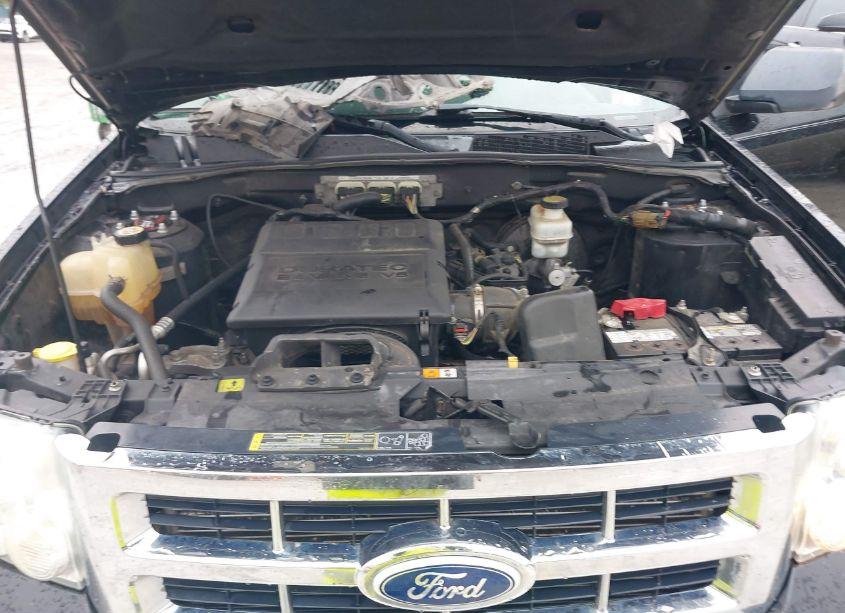 Photo 10 of 2010 Ford Escape LIMITED (VIN 1FMCU9EG4AKC15779)