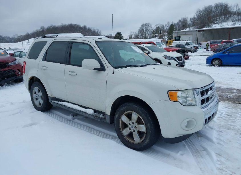 2010 Ford Escape LIMITED (VIN 1FMCU9EG5AKD25790) main photo