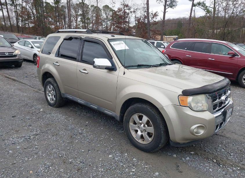 2010 Ford Escape LIMITED (VIN 1FMCU9EG7AKB77979) main photo