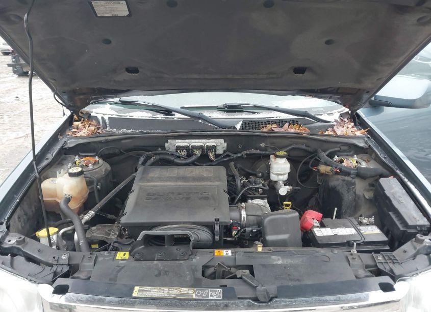 Photo 10 of 2011 Ford Escape LIMITED (VIN 1FMCU9EG8BKB29800)