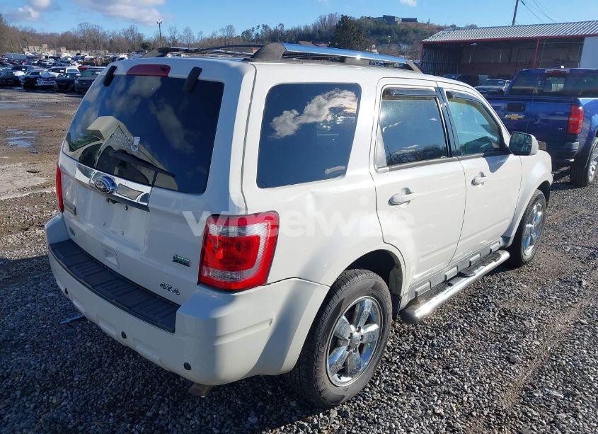 Photo 4 of 2010 Ford Escape LIMITED (VIN 1FMCU9EG9AKC71703)