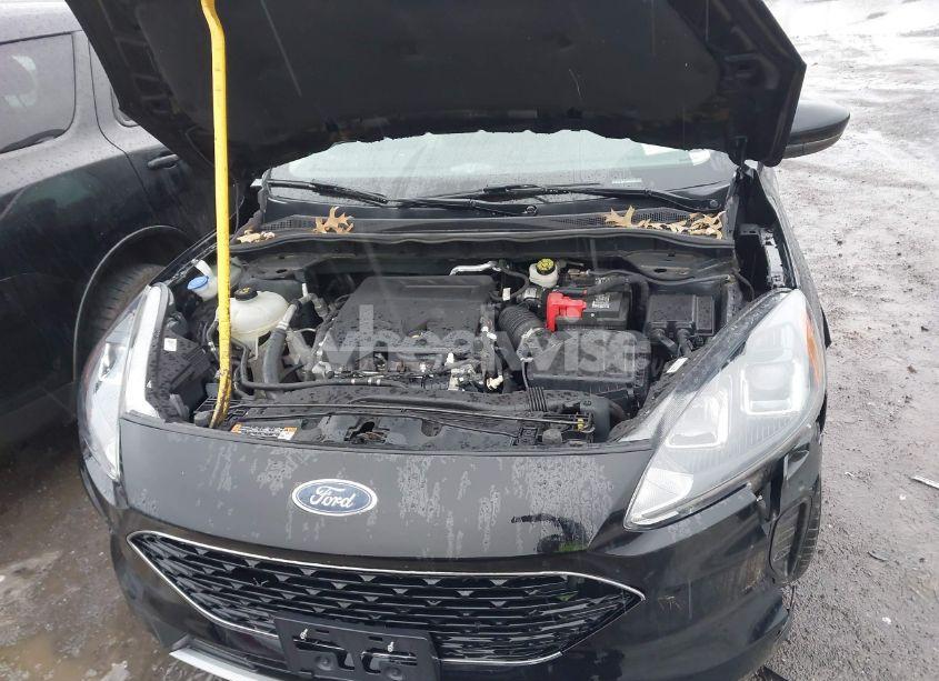 Photo 10 of 2020 Ford Escape SE (VIN 1FMCU9G60LUA97399)