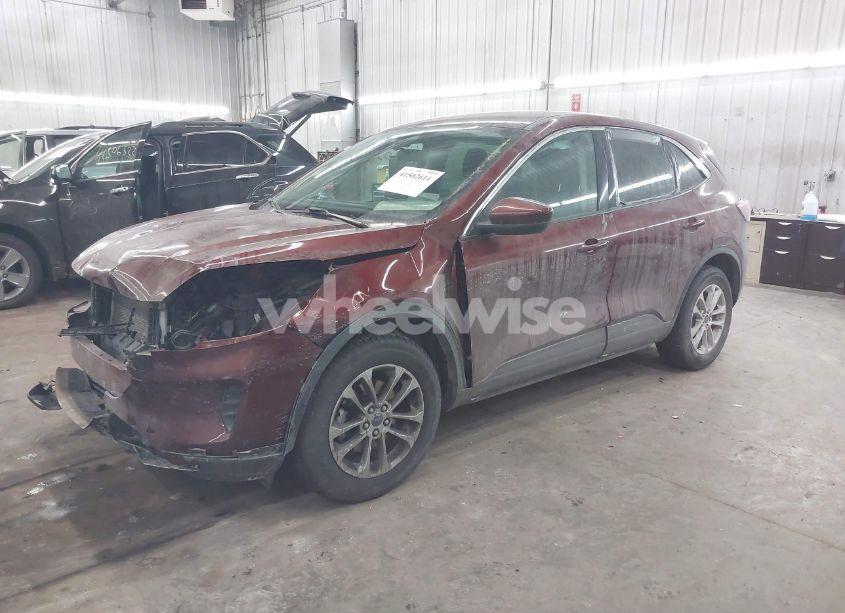 Photo 2 of 2021 Ford Escape SE (VIN 1FMCU9G60MUA02969)