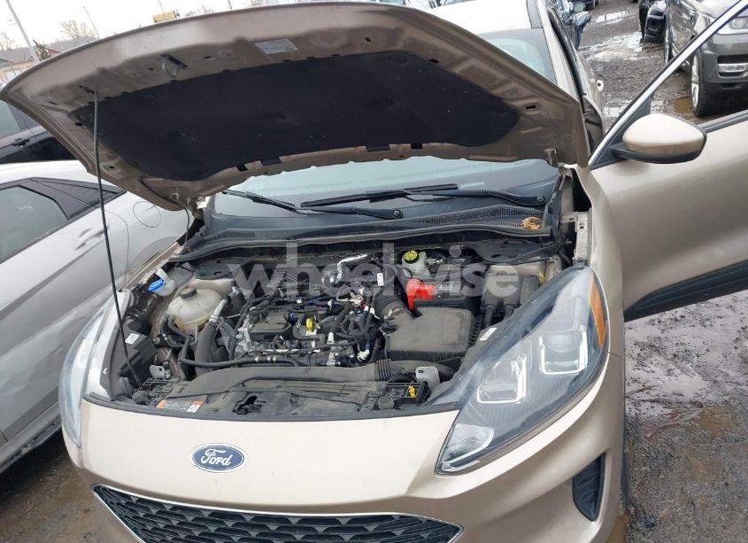 Photo 10 of 2021 Ford Escape SE (VIN 1FMCU9G60MUA47295)