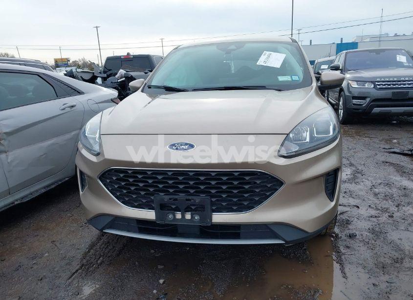 Photo 12 of 2021 Ford Escape SE (VIN 1FMCU9G60MUA47295)