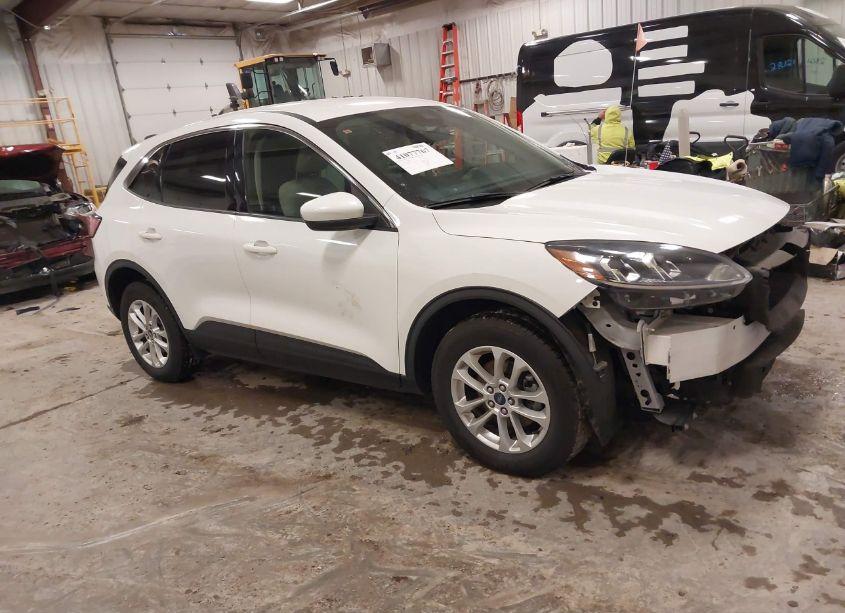 2020 Ford Escape SE (VIN 1FMCU9G61LUB65502) main photo