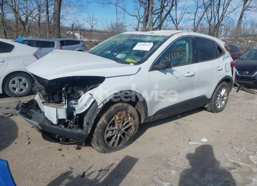 Photo 2 of 2021 Ford Escape SE (VIN 1FMCU9G61MUA51534)