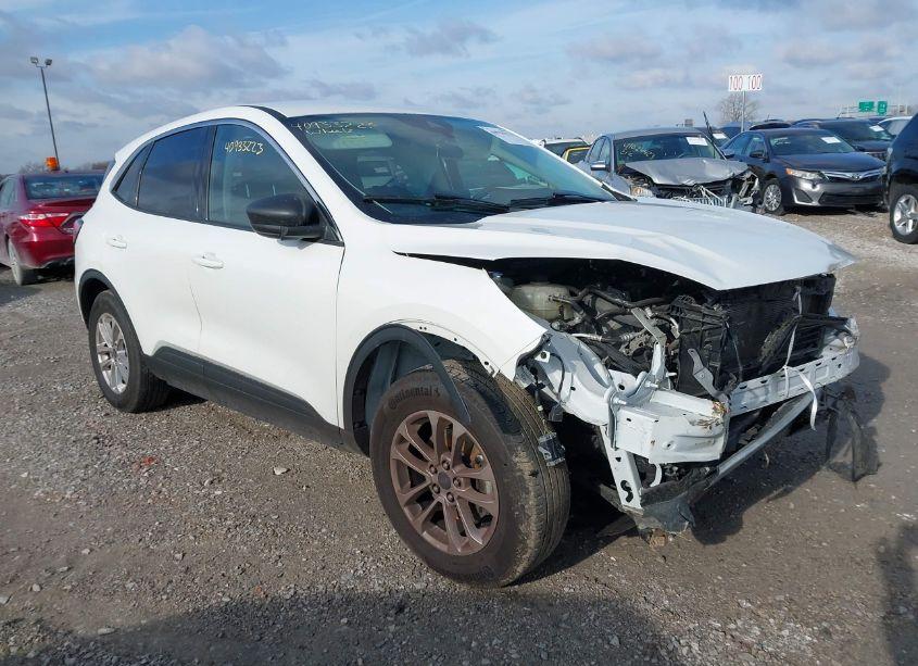 2022 Ford Escape SE (VIN 1FMCU9G61NUA60428) main photo