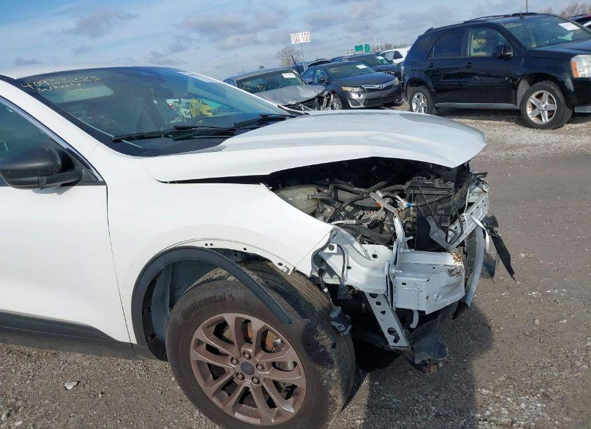 Photo 18 of 2022 Ford Escape SE (VIN 1FMCU9G61NUA60428)