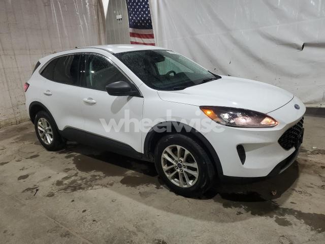 Photo 13 of 2022 FORD ESCAPE SE N/A (VIN 1FMCU9G61NUA65676)