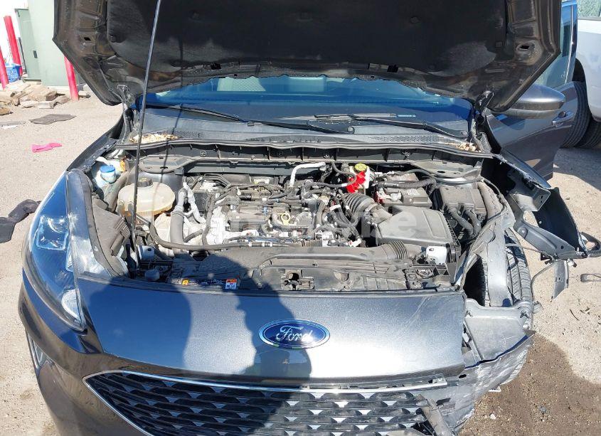 Photo 10 of 2020 Ford Escape SE (VIN 1FMCU9G62LUC21835)