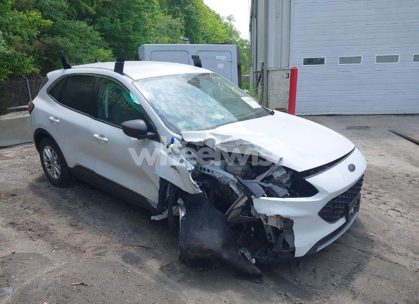 2022 Ford Escape SE (VIN 1FMCU9G62NUA67291) main photo