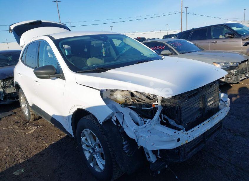 2022 Ford Escape SE (VIN 1FMCU9G62NUA68442) main photo