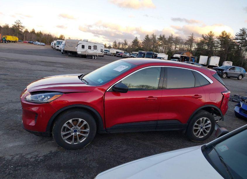 Photo 13 of 2022 Ford Escape SE (VIN 1FMCU9G62NUB61428)