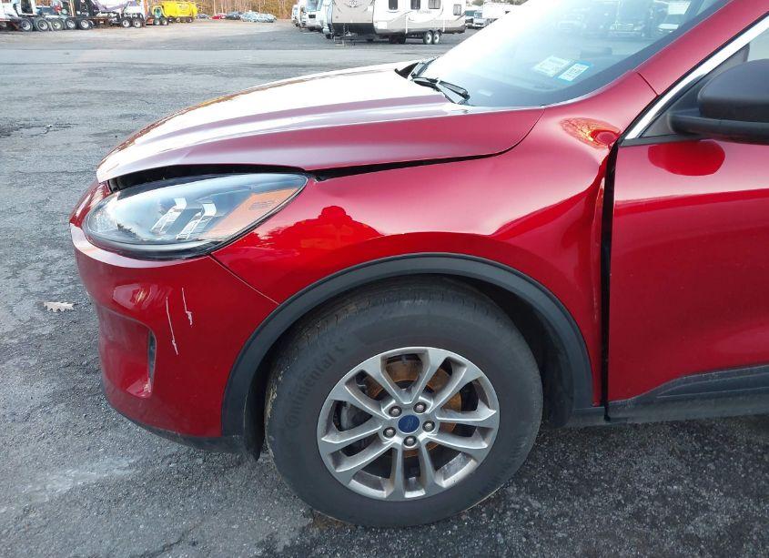 Photo 16 of 2022 Ford Escape SE (VIN 1FMCU9G62NUB61428)