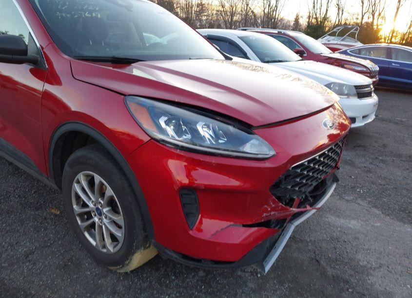 Photo 17 of 2022 Ford Escape SE (VIN 1FMCU9G62NUB61428)