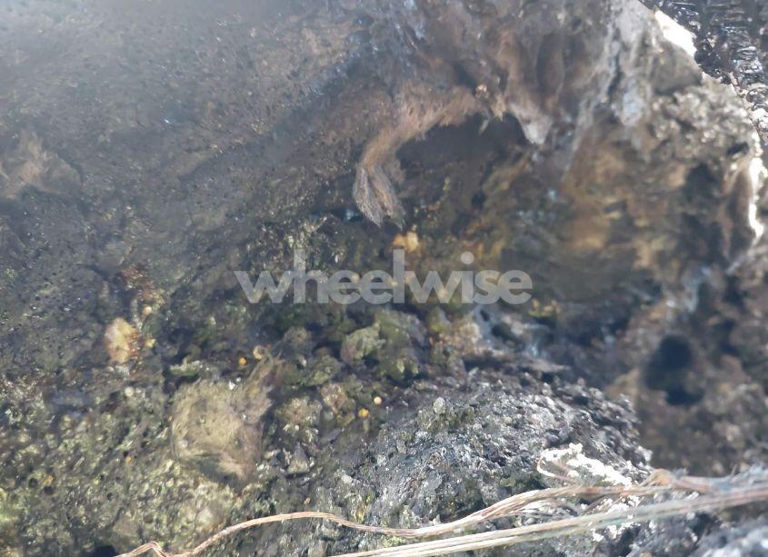 Photo 6 of 2020 Ford Escape SE (VIN 1FMCU9G63LUB05236)