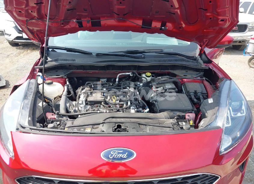 Photo 10 of 2021 Ford Escape SE (VIN 1FMCU9G63MUA92215)