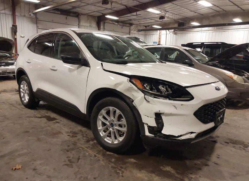 2022 Ford Escape SE (VIN 1FMCU9G63NUB07166) main photo