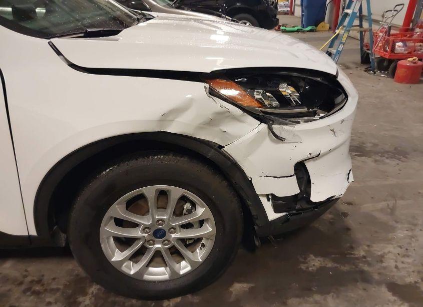 Photo 6 of 2022 Ford Escape SE (VIN 1FMCU9G63NUB07166)