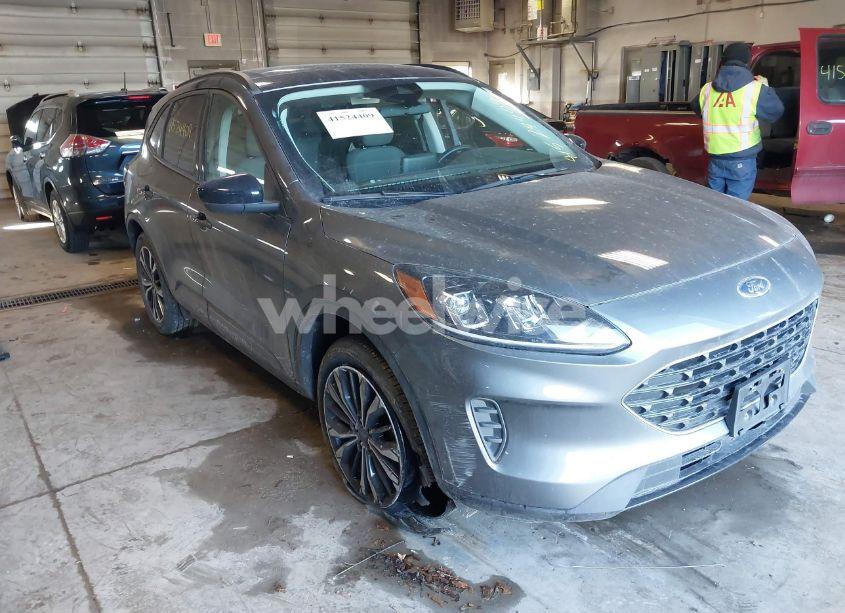 2022 Ford Escape SE (VIN 1FMCU9G63NUB20208) main photo