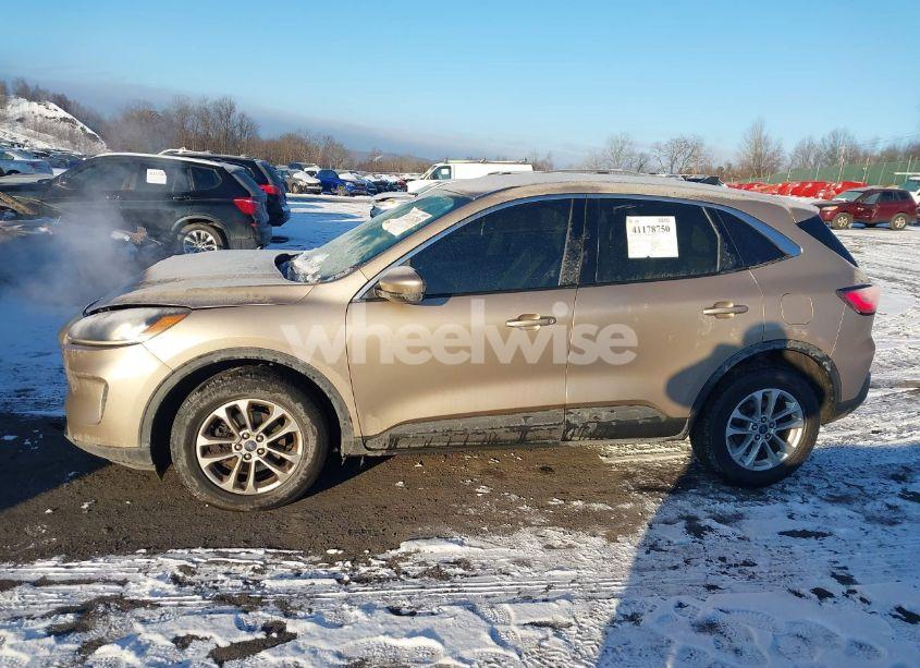 Photo 14 of 2020 Ford Escape SE (VIN 1FMCU9G64LUC23540)