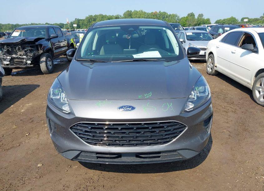 Photo 12 of 2021 Ford Escape SE (VIN 1FMCU9G64MUA50409)