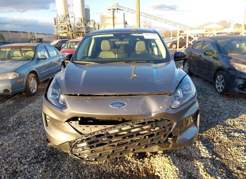 Photo 12 of 2022 Ford Escape SE (VIN 1FMCU9G64NUB94334)