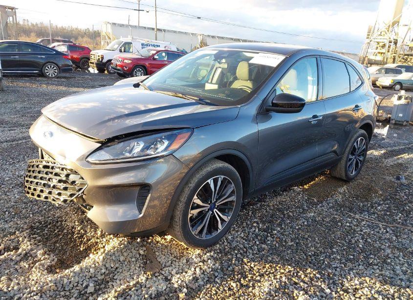 Photo 2 of 2022 Ford Escape SE (VIN 1FMCU9G64NUB94334)
